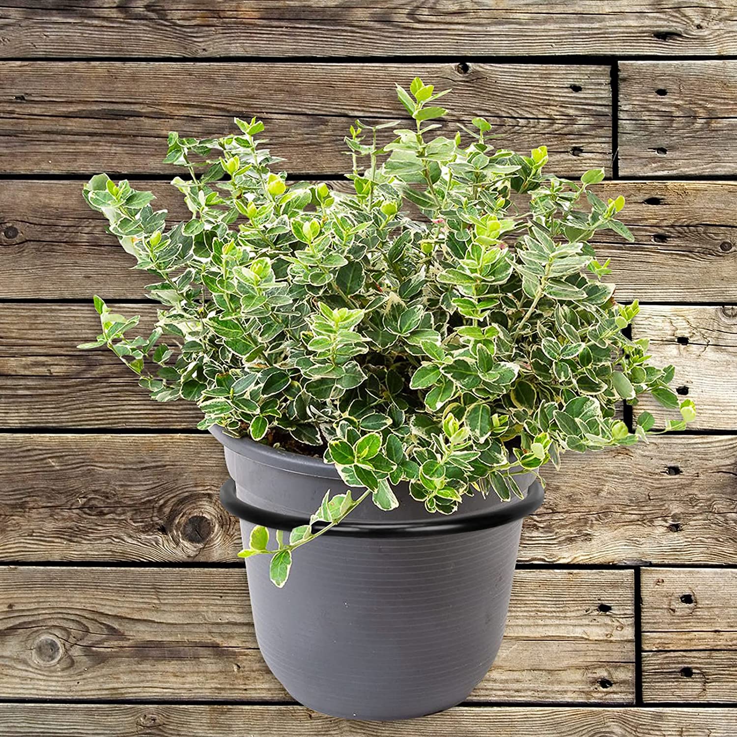 Hanging Flower Pot Brackets for Outside 10 Inch Metal Wall Mounted Flower Pot Holders