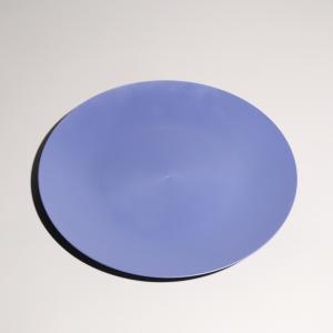 Quality Customized Logo Printed BPA Free Round Plastic Food Tray wholesale