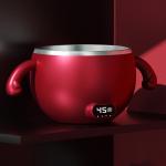 300ml Baby Food Warmer Bowl HW01 Portable Electric Big Stainless Steel Baby Food