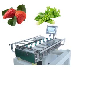 Quality 250g 500g 1000g Manual Packaging Machine Vegetables Fruits Weighing wholesale