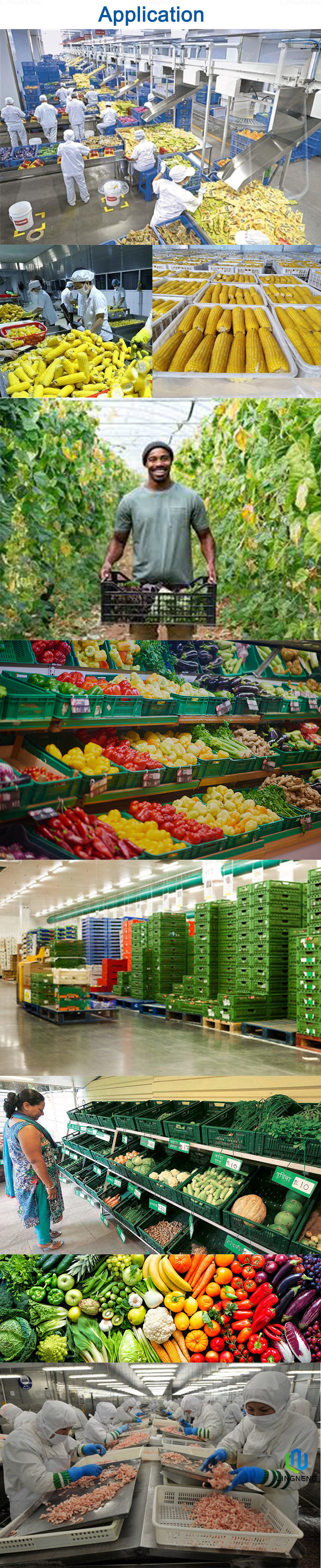 Custom Plastic Fruit And Vegetable Crates Lightweight For Warehouses / Supermarket