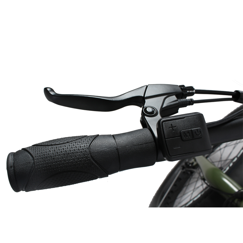 DOMANCA 2024 Vintage Off-road E Bike with Max Speed of 30-50Km/h and Range of 31-60 km
