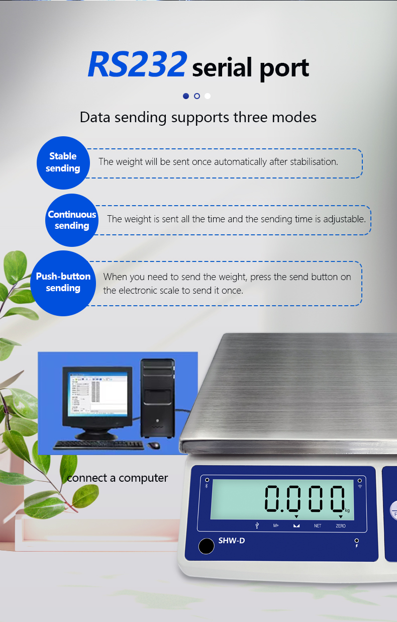 SHWDL-485 6KG Modbus 485 Communication LCD Display AC/DC Power Supply for ERP Software