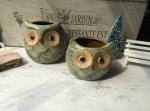 Succulent Creative Animals Owl Plant Flowerpots