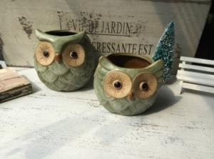 Quality Succulent Creative Animals Owl Plant Flowerpots wholesale