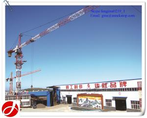 Quality 8t QTZ100(6010) fixed building Tower Crane type wholesale