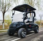 Long Range 3500W 60V 100AH Lead Batteries 2 Seater Golf Cart 12 Inch Off Road
