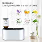 Portable Desktop Waterless Aroma Diffuser ▕ DN-850
