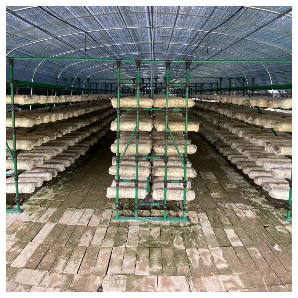 Automatic Polycarbonate Metal Frame Agriculture Greenhouse Blackout For Mushroom Growing