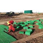 HDPE Grass Paver Grid for Parking Lot and Driveway Onsite Inspection After-sale