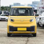 All Electric Wuling Hongguang Nano EV Vehicle 2 Seater