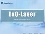 Nd YAG Q Switched Laser For Tattoo Removal / Vascular Lesions Removal Long Pulse