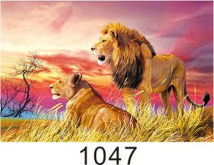 Quality Custom 3D Lenticular Printing 60*80cm / Wall Poster 3D Animals Photos wholesale