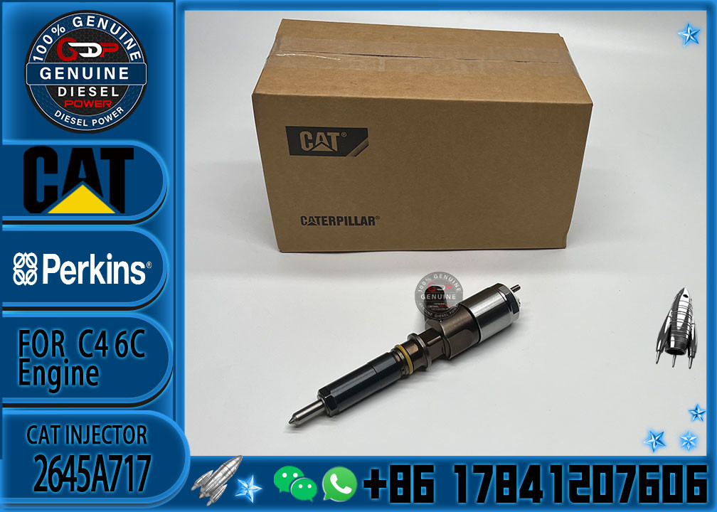 Cat 320d Diesel Inyector Common Rail Fuel Injector 3172300 317-2300 2645A717 for CATERPILLAR C6.4 C6.6 Excavator