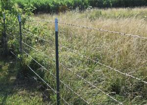 Quality Rust Resistance PVC Coated /Galvanized Barbed Wire Coils Fence wholesale