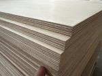 Durable Harmless Wood Veneer Plywood Sheets , Phenolic Adhesive Wooden Ply Board