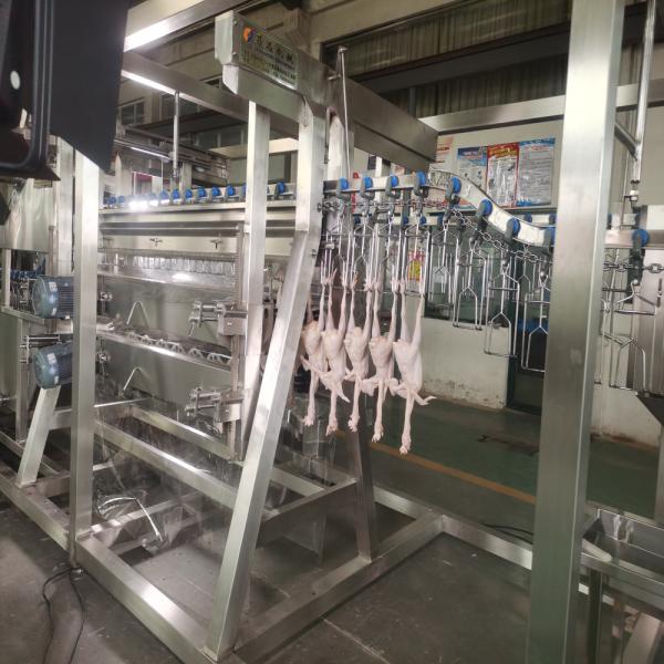 Stainless Steel Chicken Slaughterhouse Equipment Poultry Defeathering Machine