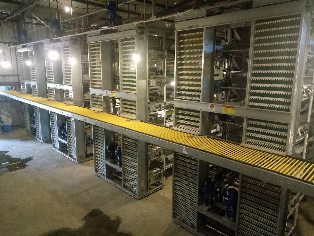 H Type Layer Chicken Cage Q235A Automatic 4 tiers Galvanized Wire