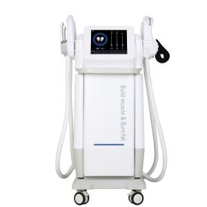 Quality Stationary Electromagnetic Muscle Stimulation Machine 50 - 60Hz EMS Body Sculpting Machine wholesale