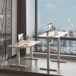 Office Metal Stainless Steel Electric Sit Stand Desk with Motorized Height