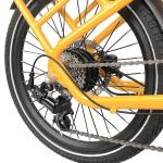 20 Inch Retro Dual 250W Electric Cargo Bike 7 Speed 36V 7.8Ah Lithium Battery