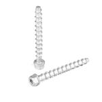 M6 75mm Stainless Steel Hex Head Concrete Anchor Bolt for Thread Rod Payment