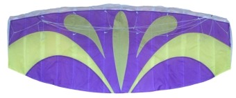 Easy Carry Nylon Material Stunt Kite , Environmental Friendly Beach Kites Durable