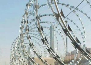Quality Q235 PVC Razor Barbed Concertina Wire Coil High Security wholesale