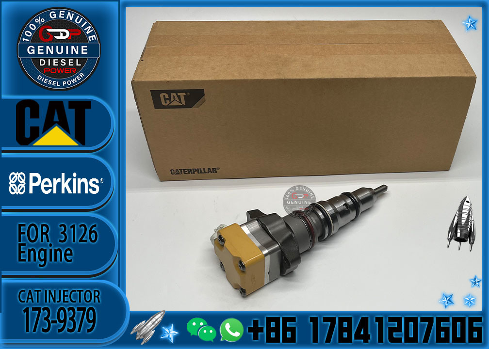 Construction Machinery Parts Diesel Engine Injector 10R-0781 222-5966 173-9379 For 3126B 3126E CAT Diesel Engine Injecto