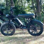 Powerful 750W V8 Motor 20 Inch Fat Tire Electric Mountain Bike With 48V 15ah