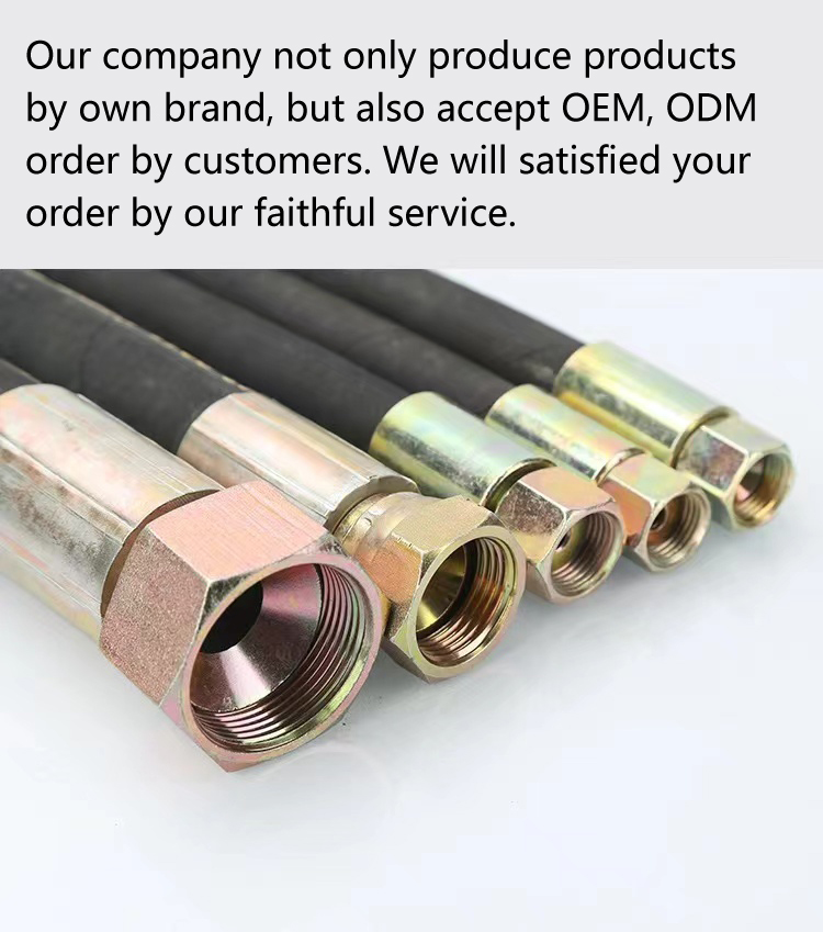 Transparent Bag/ Carton Packaged Heat Resistant Oil Transfer Hydraulic Hose