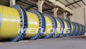 Quality UNS S32750 Encapsulated Control Line Super Duplex 2507 Rilsan Nylon wholesale