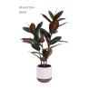 Buy cheap Color Variation Artificial Magnolia Plant For Table , Home , Party , Event from wholesalers