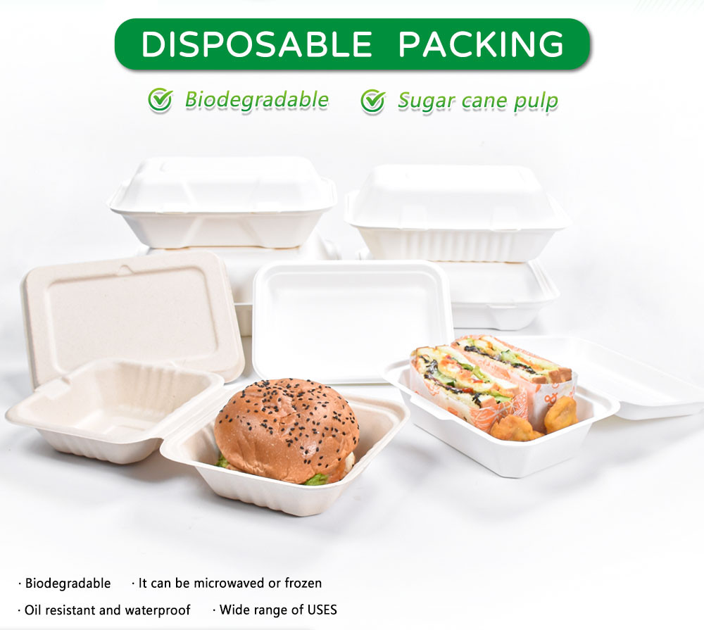 Blister Eco Compostable Clamshell 3 Compartment Disposable Lunch Box Sugarcane Bagasse