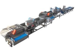Quality Luxury Vortex Vegetable Washing Machine Swirl / Bubble Vegetable Cleaning Line wholesale