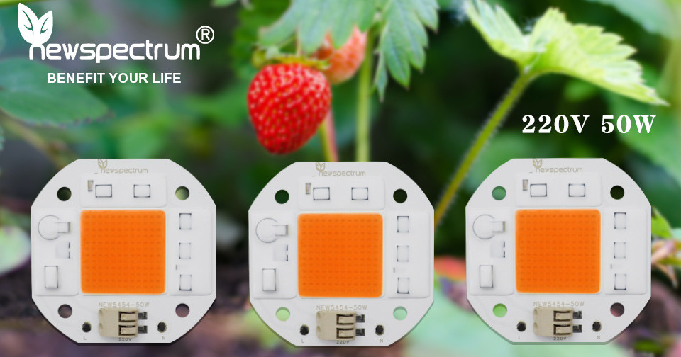 50W LED Grow Chip