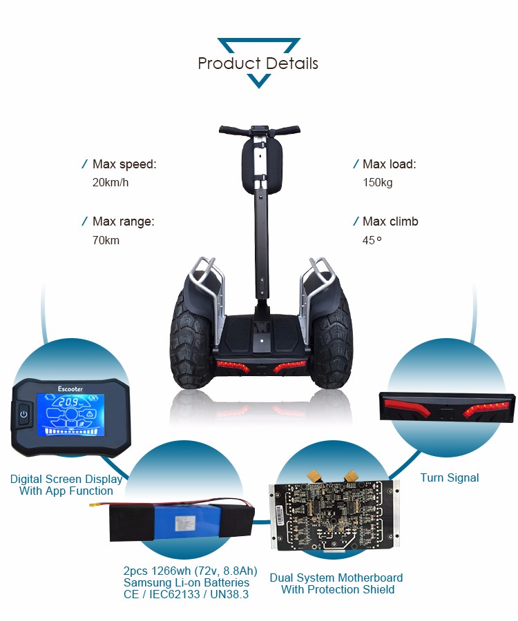 self balance electric chariot