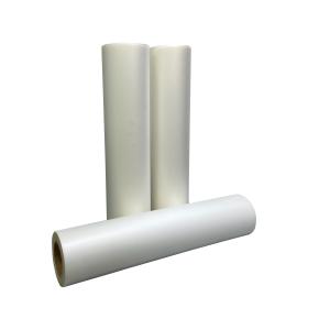 Quality A3 Dtf Pet Film Printer 13inch 24inch Heat Transfer Clothing wholesale