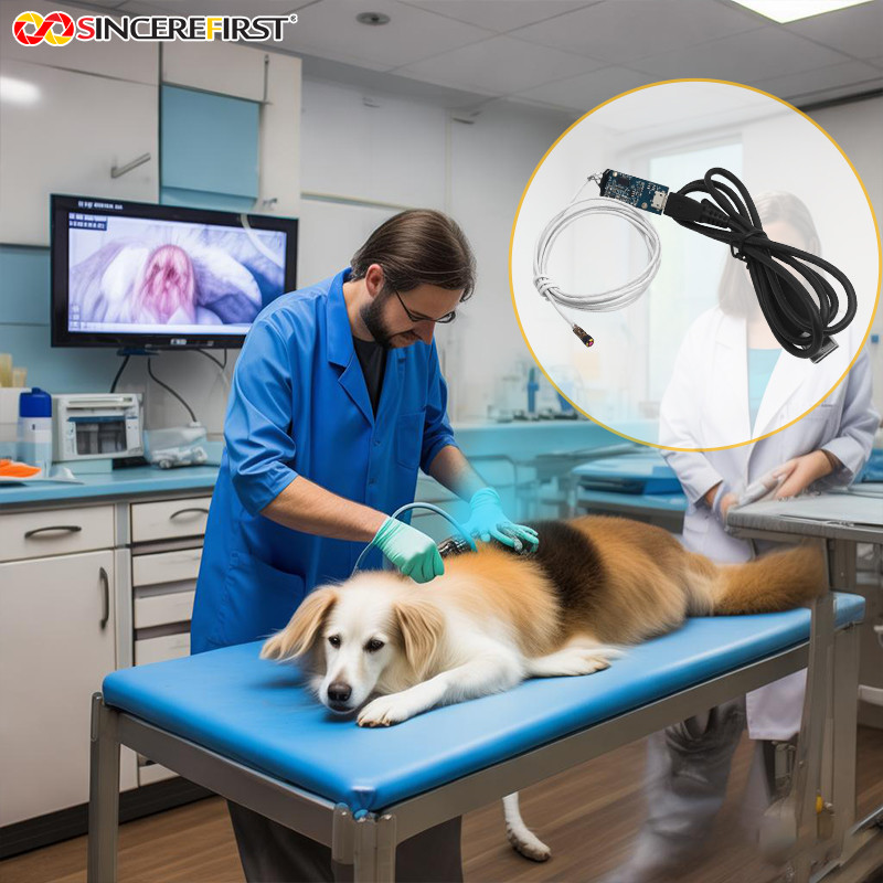 OV9734 USB Medical Imaging Endoscope Dual Camera Module with LEDs