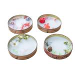 Stainless Steel Tin Box For Tea Packaging Transparent Window Tray Inside Book