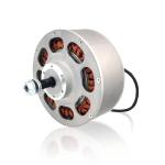 BeeLeader Multi-function Controller For Fitness Brushless DC Motor, Widely Used