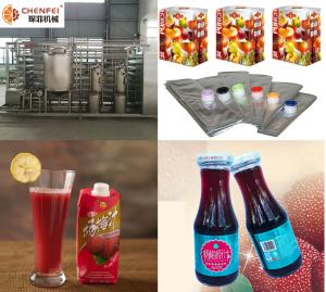 Quality SS304 Turnkey Waxberry Beverage Juice Making Machine Processing Line CFM-B-07 wholesale