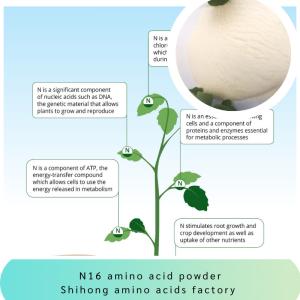 Quality N16 85% Peptides Amino Acid Powder Fertilizer Chloride Free 65072-01-7 For Plants Durian Yield And Growth wholesale