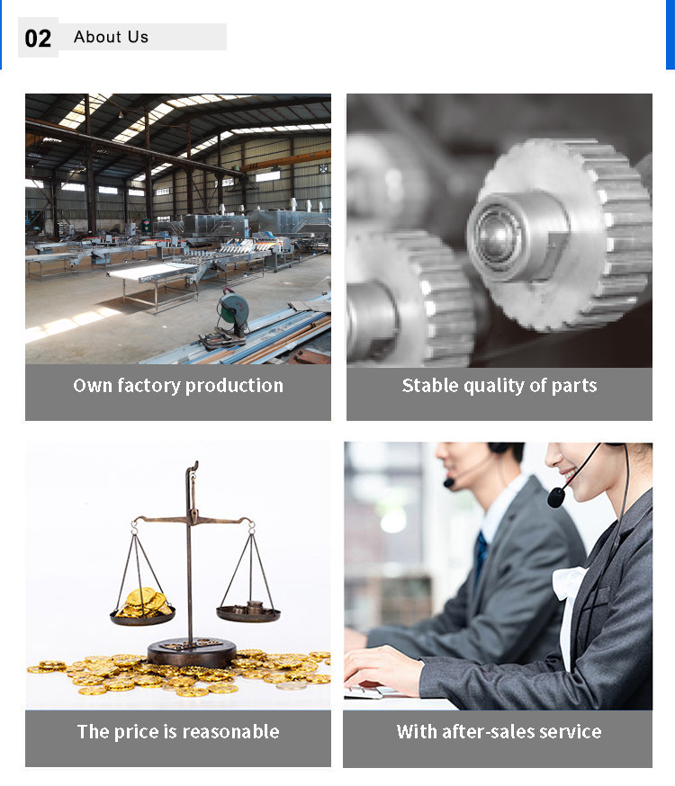 Commercial Automated Small Hard Biscuit Production Line Field Maintenance