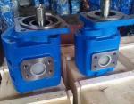 Hydraulic Submersible Water Pump , CBGJ Gear Oil Pumps