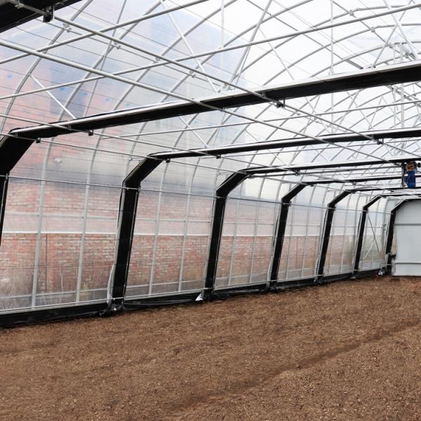 Agricultural Greenhouse 10m*100m Light Deprivation Greenhouse Hydroponic