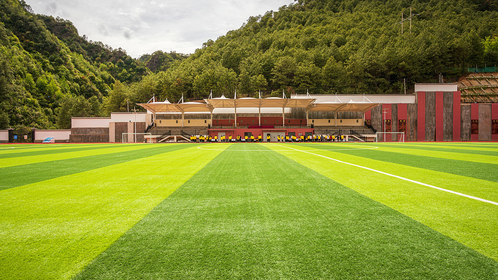 High Density Artificial Grass Sports Flooring Landscaping Bright Color
