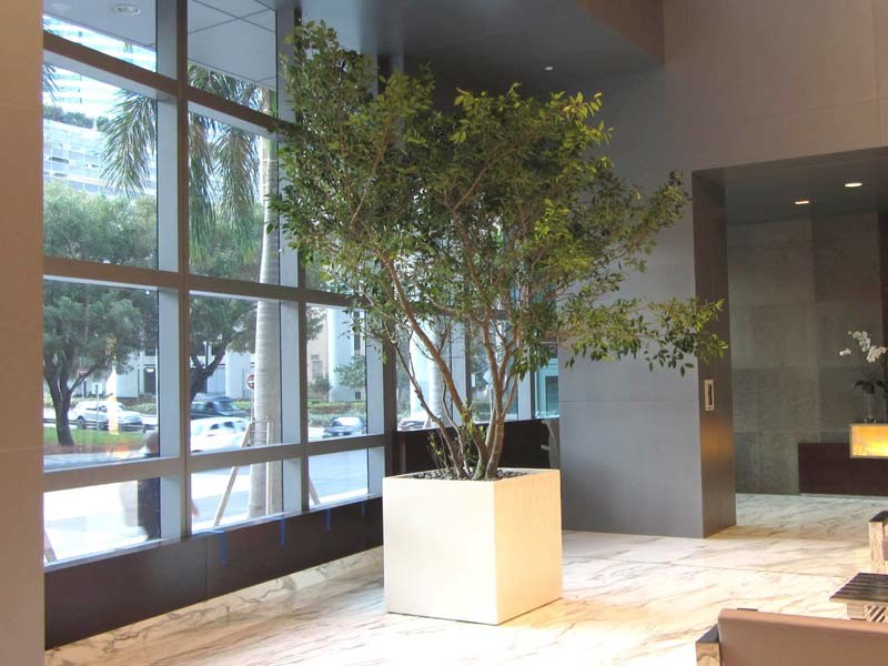 Large Stock Fiberglass Plant Pot Fiberglass Flower Planters Matte Glossy Finished
