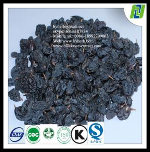 Quality Dried black currant p.e 5%-25% for HPLC wholesale