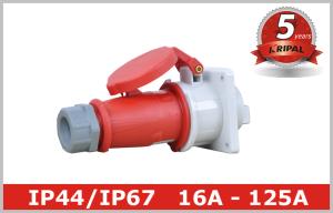 Quality 63A 125A Industrial Power Socket / Pin And Sleeve Receptacle Custom wholesale